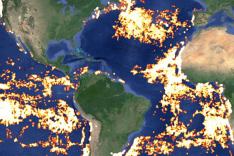 Global AIS Tracking Patterns