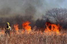 fires_2 fires_2