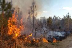 firestart firestart
